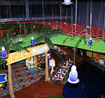 Crazy Pinz with Steltronic Scoring