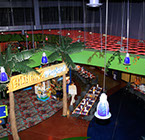 Crazy Pinz with Steltronic Scoring