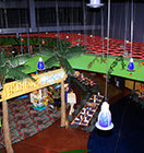 Crazy Pinz with Steltronic Scoring