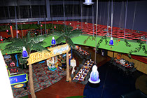 Crazy Pinz with Steltronic Scoring