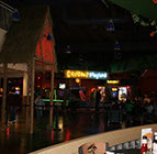 Crazy Pinz with Steltronic Scoring