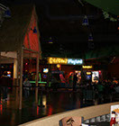 Crazy Pinz with Steltronic Scoring