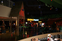 Crazy Pinz with Steltronic Scoring