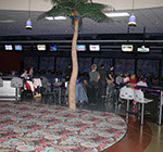 Crazy Pinz with Steltronic Scoring