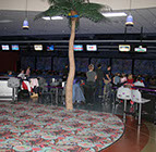 Crazy Pinz with Steltronic Scoring