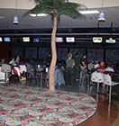 Crazy Pinz with Steltronic Scoring