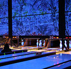 Crazy Pinz with Steltronic Scoring