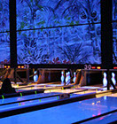 Crazy Pinz with Steltronic Scoring