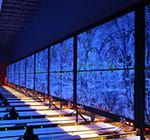 Crazy Pinz with Steltronic Scoring