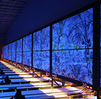 Crazy Pinz with Steltronic Scoring