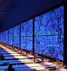 Crazy Pinz with Steltronic Scoring