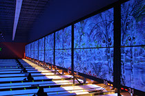 Crazy Pinz with Steltronic Scoring