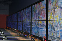 Crazy Pinz with Steltronic Scoring