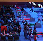 Crazy Pinz with Steltronic Scoring