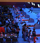 Crazy Pinz with Steltronic Scoring