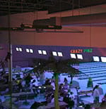 Crazy Pinz with Steltronic Scoring