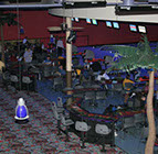 Crazy Pinz with Steltronic Scoring