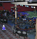 Crazy Pinz with Steltronic Scoring