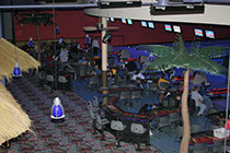 Crazy Pinz with Steltronic Scoring