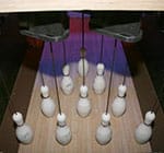 Crazy Pinz with Steltronic Scoring