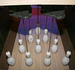 Crazy Pinz with Steltronic Scoring