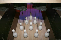 Crazy Pinz with Steltronic Scoring