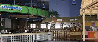 Crazy Pinz with Steltronic Scoring