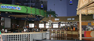 Crazy Pinz with Steltronic Scoring