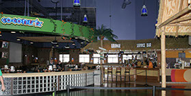 Crazy Pinz with Steltronic Scoring