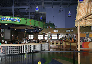 Crazy Pinz with Steltronic Scoring