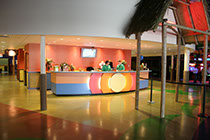 Crazy Pinz with Steltronic Scoring